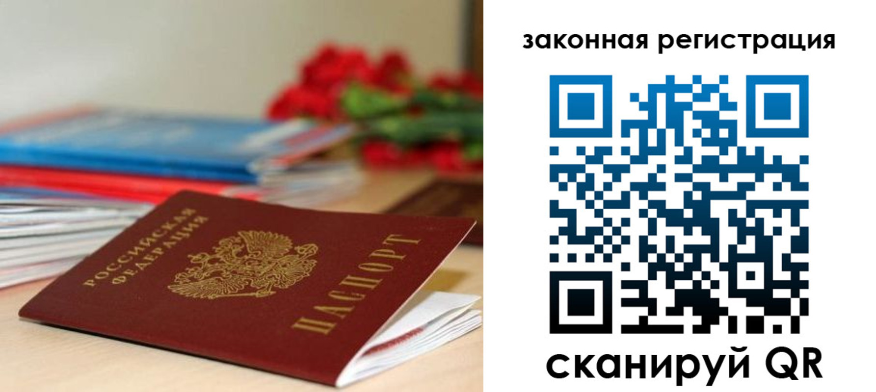 прописка гарантия в Калуге